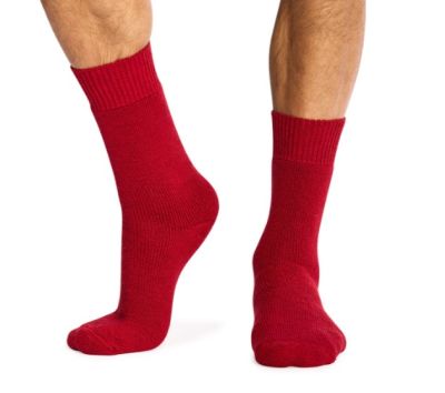 OVERLANDER Bushwalker 72% Merino Sock - Red Violet