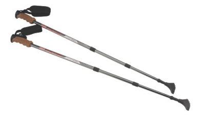 COLEMAN Trekking Pole with foot (sold individual)